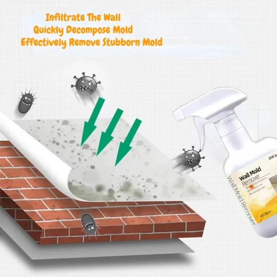 OptiShield Spray – Professional Anti-Mold Surface Treatment (No-Scrub Formula)