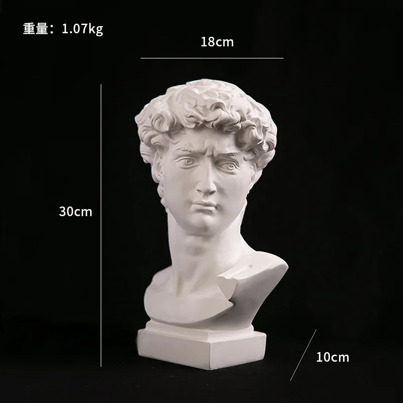 OptiArt Bust – Modern Abstract David Head Sculpture | Greek Art Bust for Studio, Shelf & Desk Decor