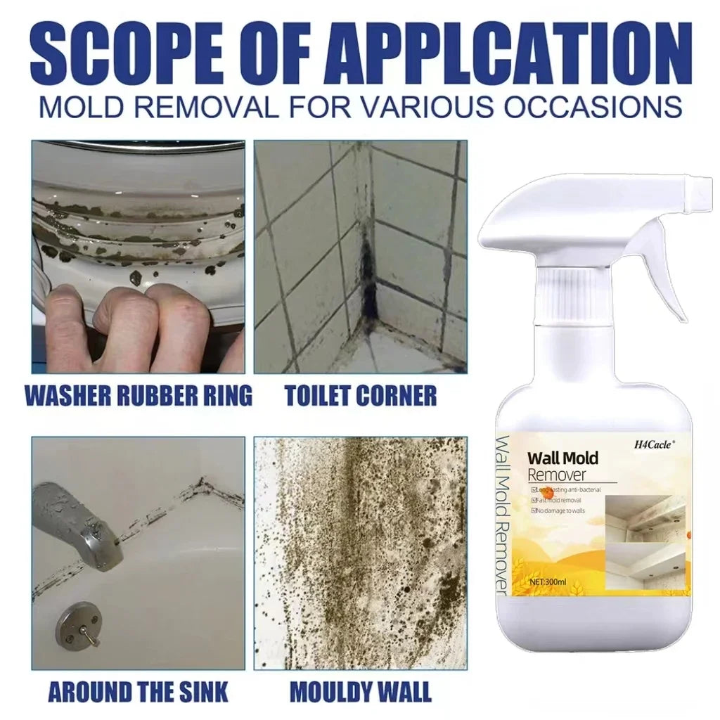 OptiShield Spray – Professional Anti-Mold Surface Treatment (No-Scrub Formula)