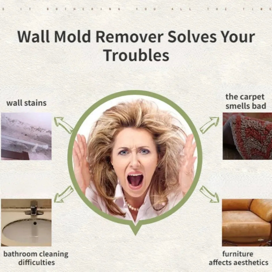 OptiShield Spray – Professional Anti-Mold Surface Treatment (No-Scrub Formula)