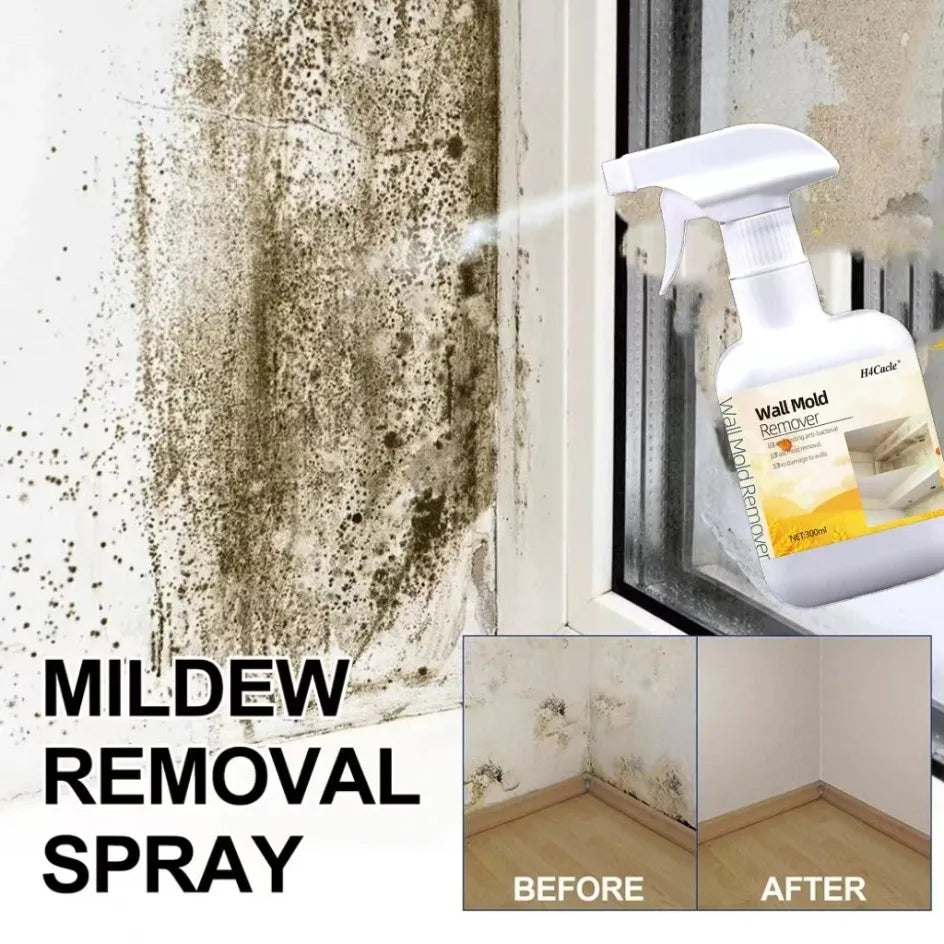 OptiShield Spray – Professional Anti-Mold Surface Treatment (No-Scrub Formula)