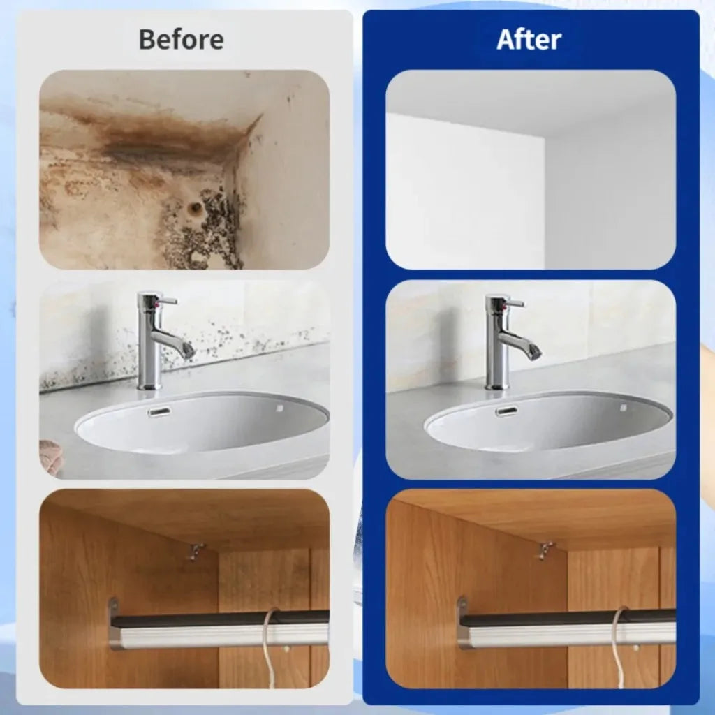 OptiShield Spray – Professional Anti-Mold Surface Treatment (No-Scrub Formula)